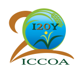 I20Y-ICCOA-Logo-20242398