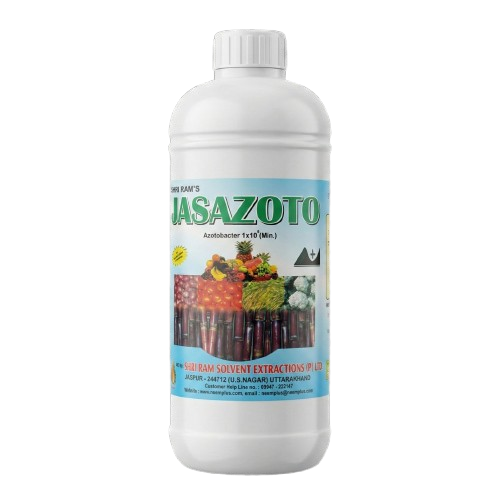 JAS AZOTO - Image 2